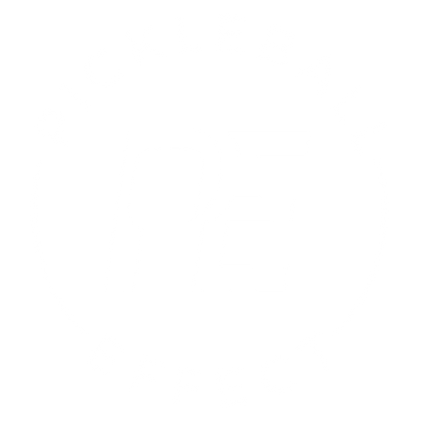 Pickleball Effect Shop